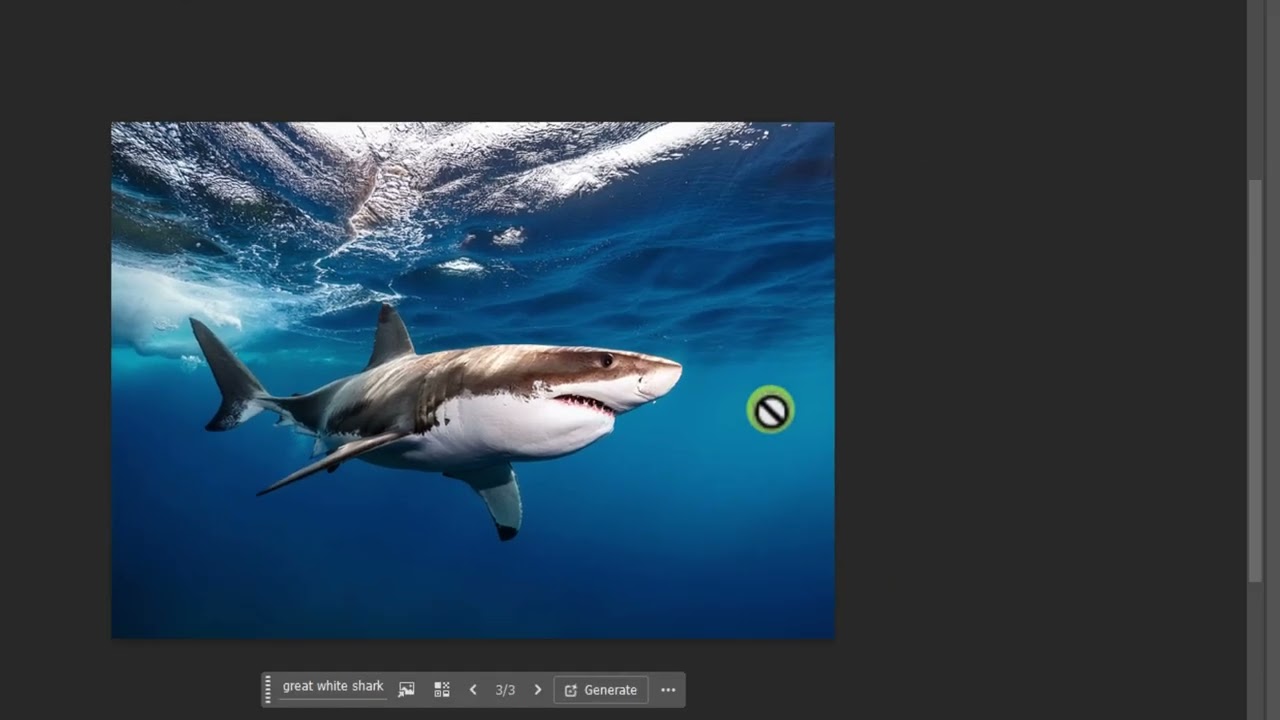 great white shark animation 2026-01-19