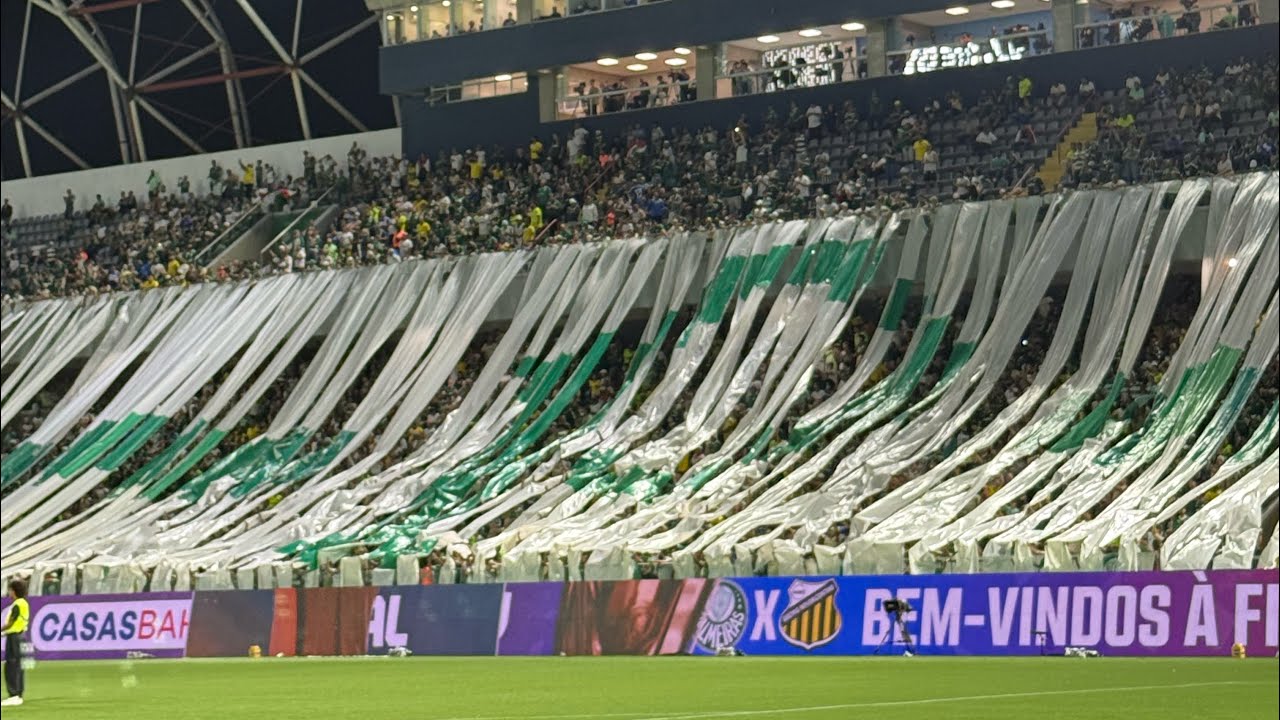 VLOG DO PODPORCO DIRETO DO CAMPO DA PRIMEIRA FINAL DO PAULISTA! 