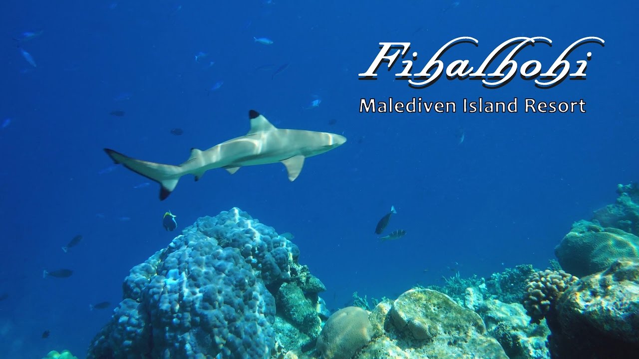 Fihalhohi - Malediveninsel im Süd Male Atoll