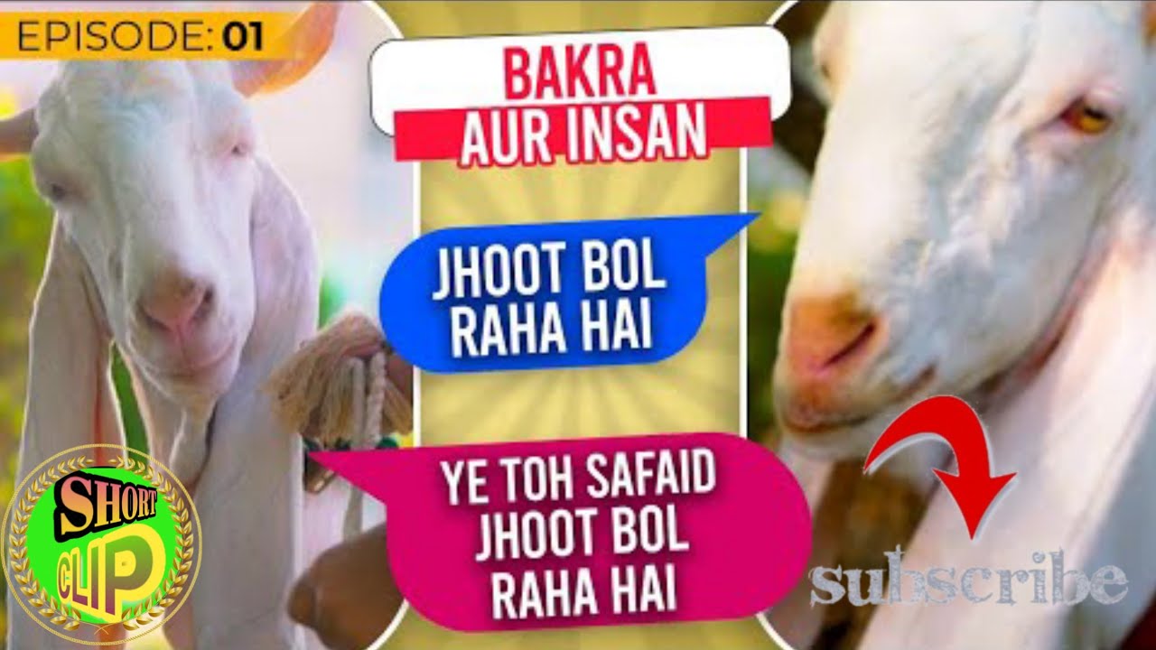 Bakray Ki Baatein 🤣 | Bakra Aur Insaan EP 01 | Bakra Eid Special Video 2021#shortclip
