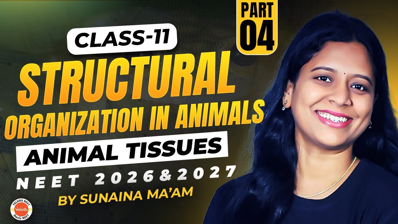 Structural Organization in Animals | Animal Tissues Part-4| Class 11| NEET 2026-2027 | Sunaina Ma'am
