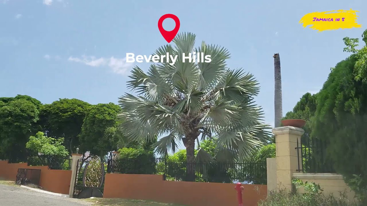 Driving through Beverly Hills | Jamaica