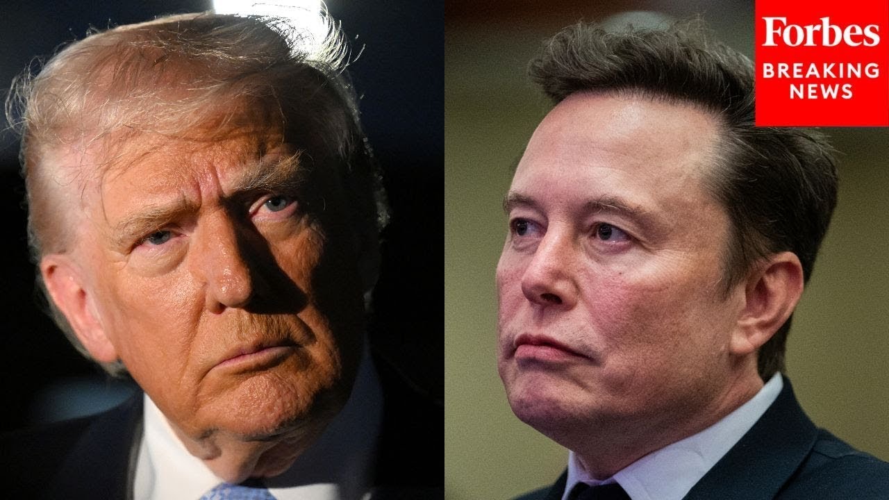 WATCH: Elon Musk Jokes About Greenland Push During Surprise Appearance At Davos