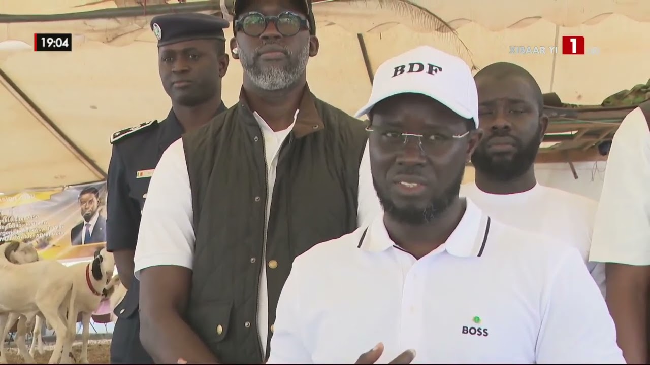 Tabaski – Moutons : Le président Bassirou Diomaye Faye en visite sur plusieurs sites de vente
