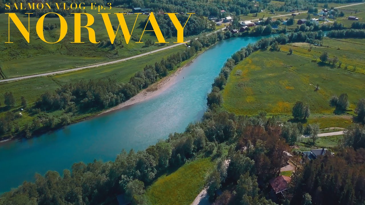 Fishing Vlog Ep.3 - Salmon fishing in central Norway (English subtitles)