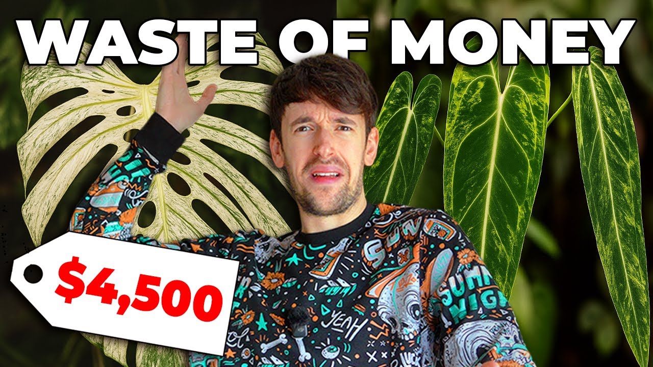 These $1000+ 'Rare' Plants Are UGLY (I Said It)