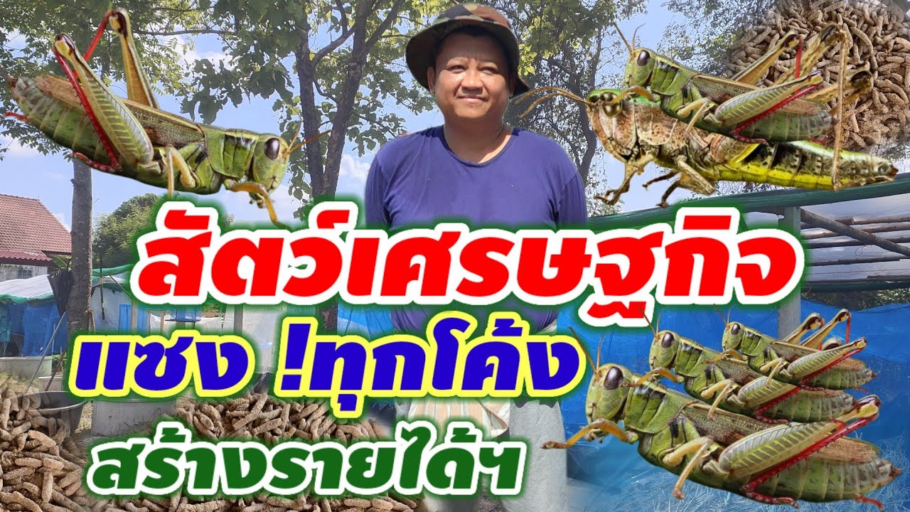 สัตว์เศรษฐกิจ  แซงทุกโค้ง  สร้างรายได้