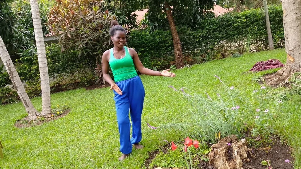 Changing our compound, planting 🌹@DIYGardenIdeas picked some ideas