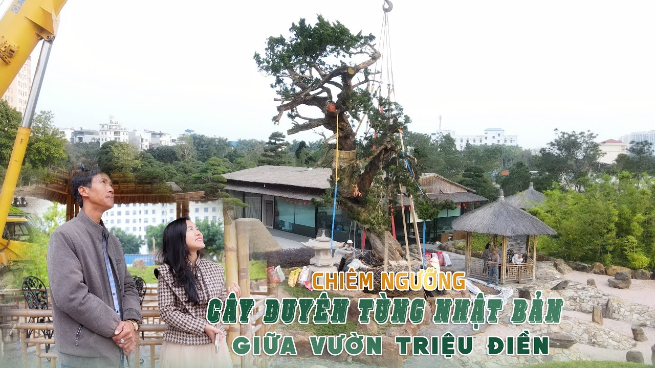 DUYÊN TÙNG - Một tác phẩm, nhiều thế hệ và câu chuyện được viết tiếp trên đất Việt
