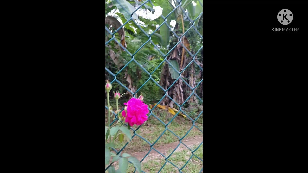 14 September 2021