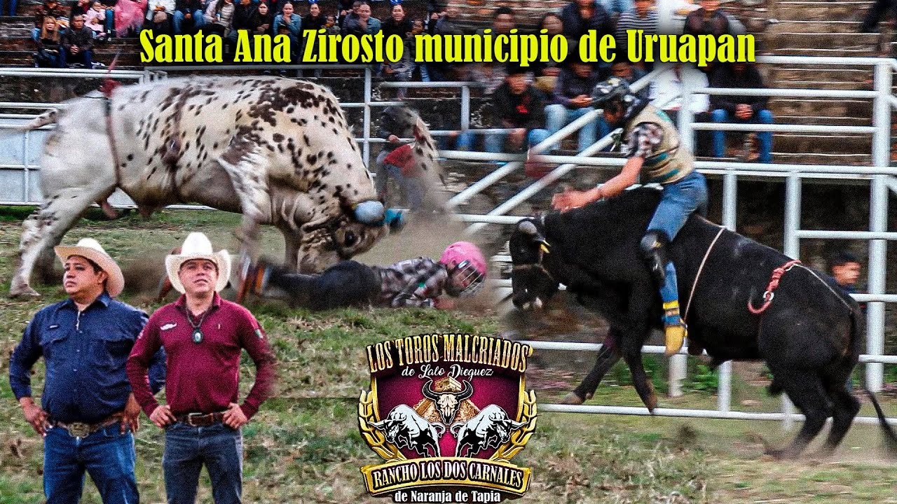 🔥Llegaron 11 Malcriados a Santa Ana Zirosto.👌 Rancho los Dos Carnales de Lalo Dieguez
