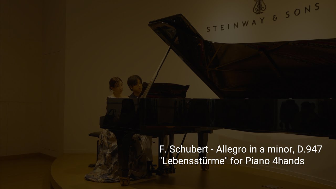 F.Schubert - Allegro in a minor, D.947 
