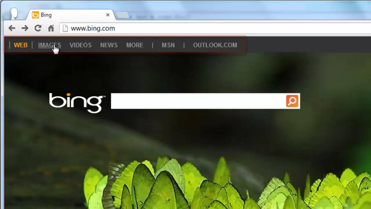 What is Bing
