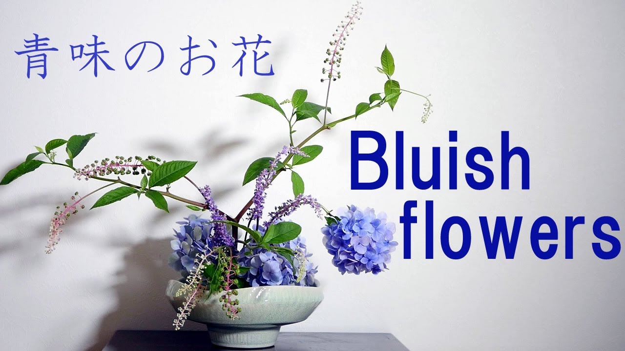 【生け花】青味の夏の花【ikebana】藪蘭/紫陽花/山牛蒡/Bluish flowers/藍花/Fleurs bleuâtres/Hydrangea/Hortensia/繡球花/Cold color