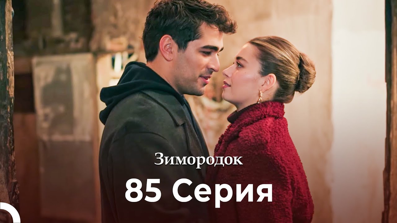 Зимородок 85 Cерия (Русский дубляж) (4K)