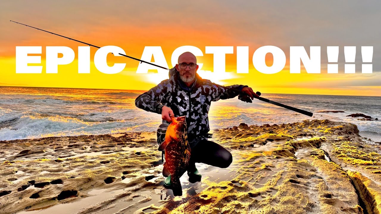 MONSTER Rockod off the Bricks | 2 FISH in 5 Minutes | EPIC Fishing action at 