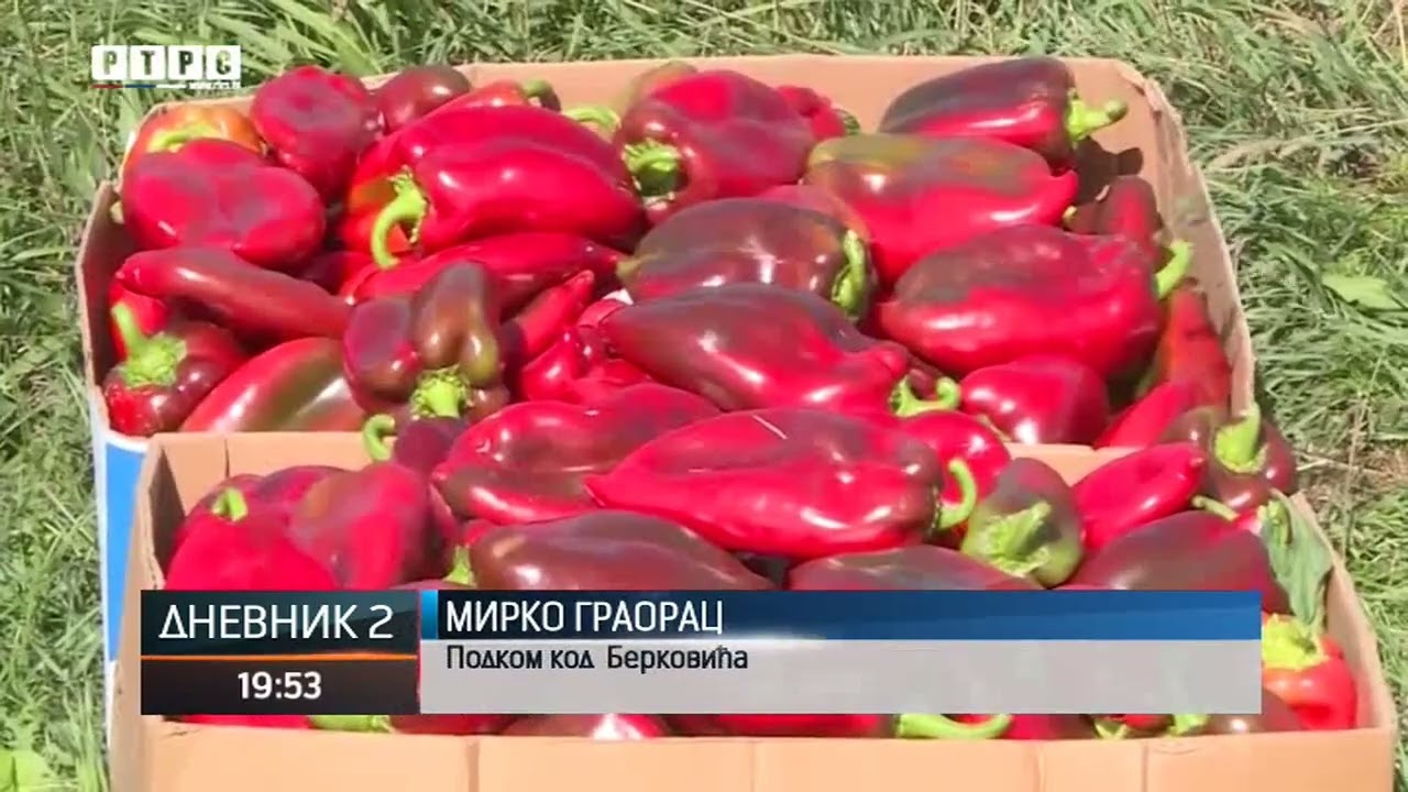 Kako poljorivrednici ocjenjuju godinu iza nas?