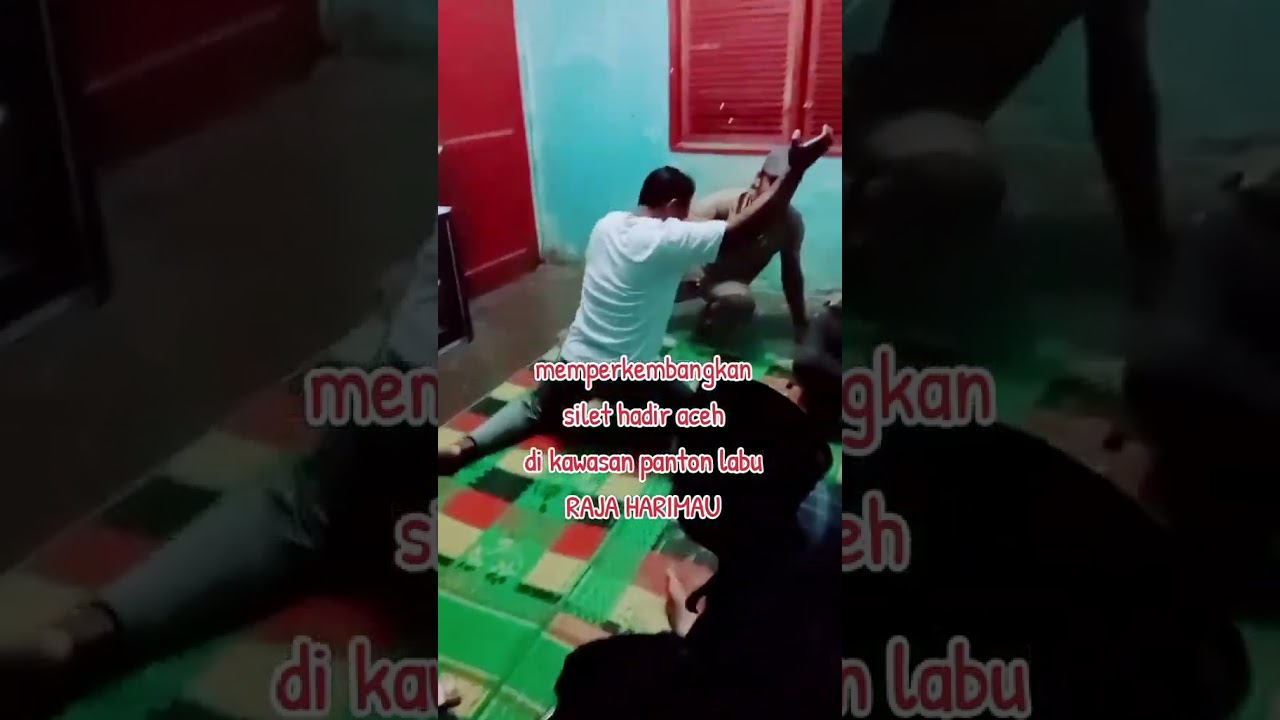 Seni budaya aceh