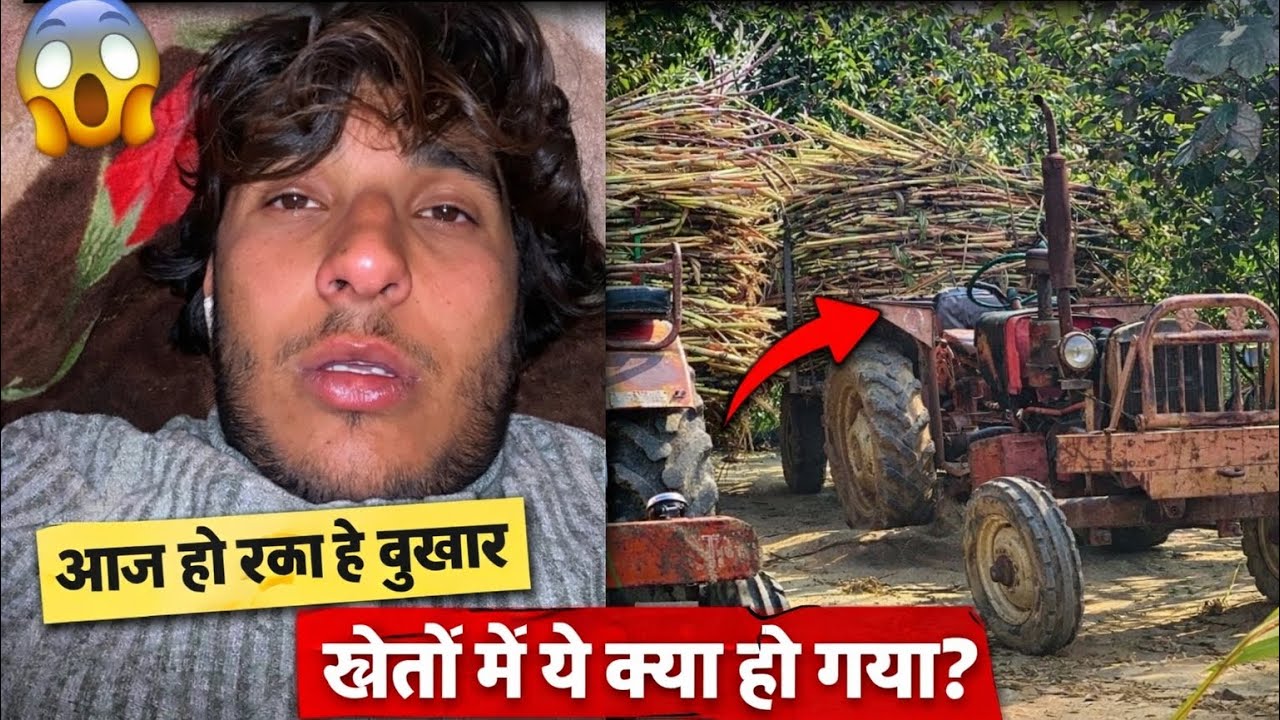 Aaj ho rkha tha Bukhar 😷 fir bhi Khet jana pada | Kheton me kya ho gaya?#VillageVlog #FarmingLife 