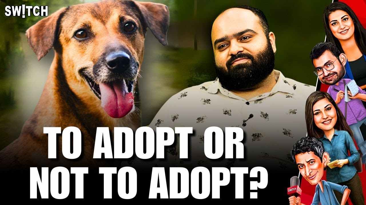 Stray Dogs in Delhi: Supreme Court Judgement on Dog Menace, Adoption & Feeding Rules