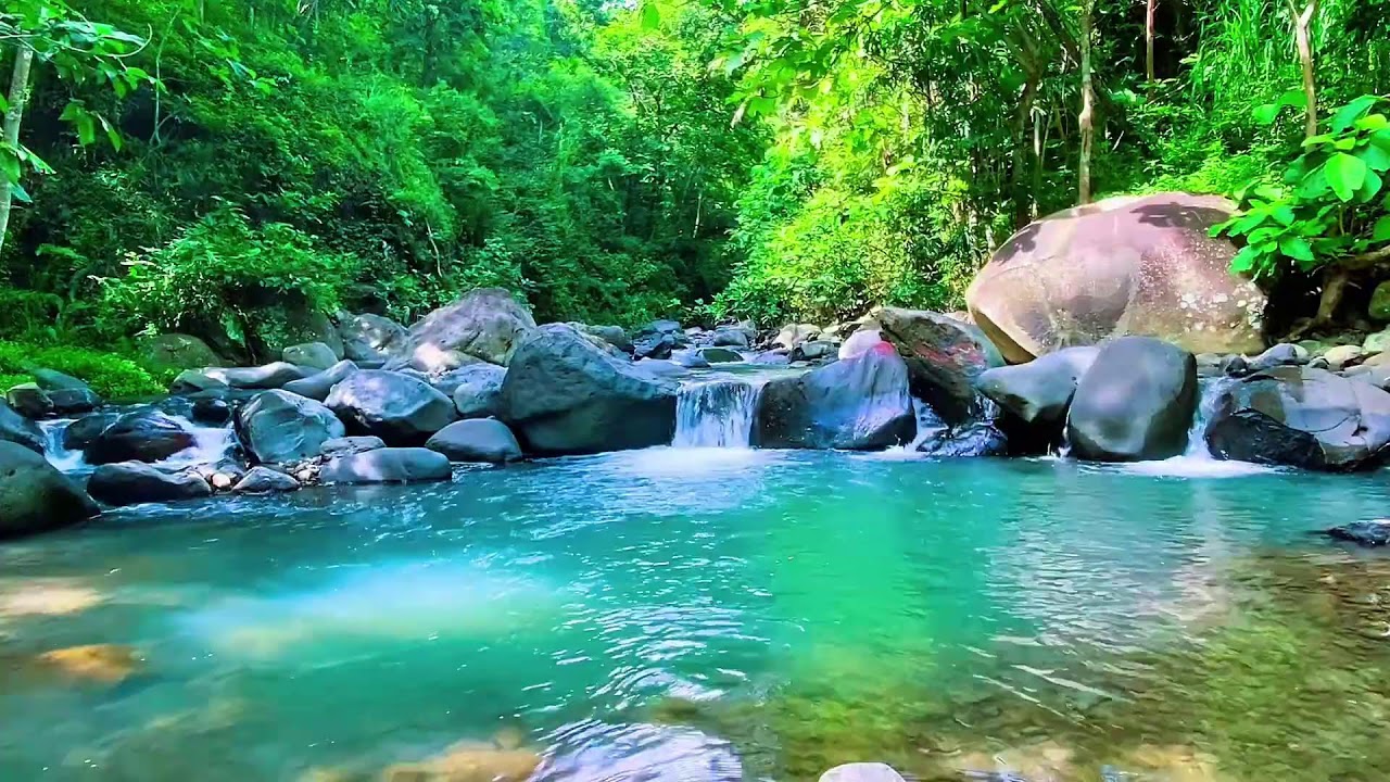 Mountain Stream Peaceful Flow, Forest River Water, Sleeping