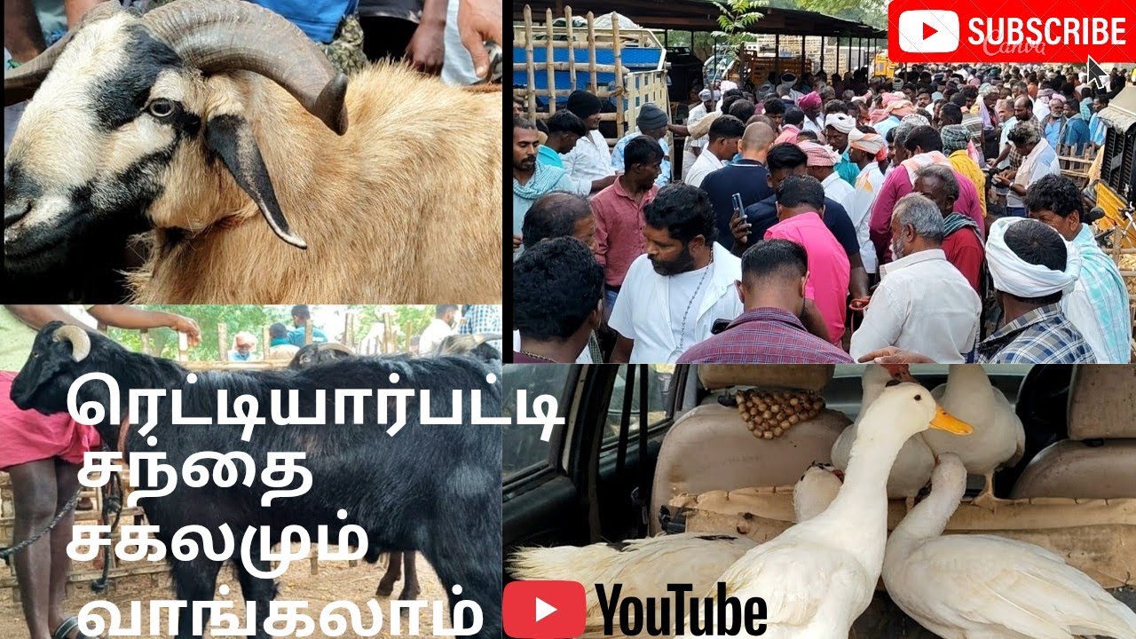 @ ரெட்டியார்பட்டி சந்தை. 