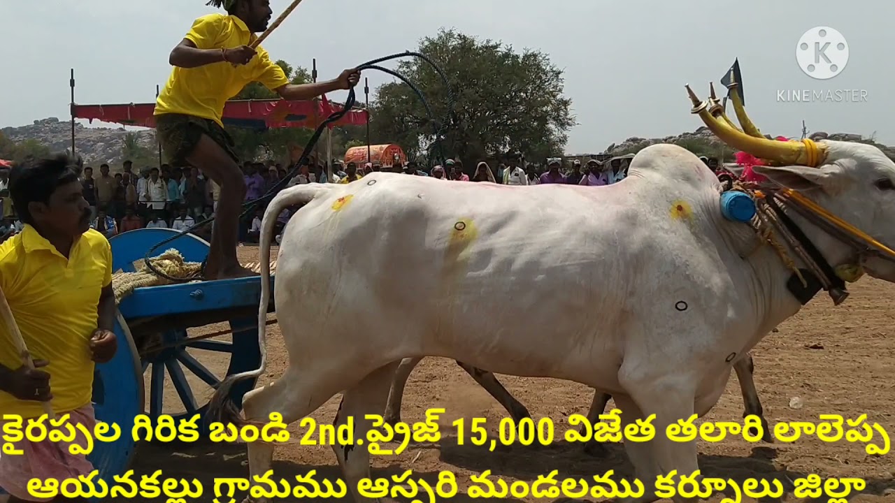 2021-కైరప్పల గిరిక బండి 2nd.ప్రైజ్ 15,000.విజేత తలారి లాలెప్ప గారు.అయనకల్లు గ్రామము.కర్నూలు జిల్లా