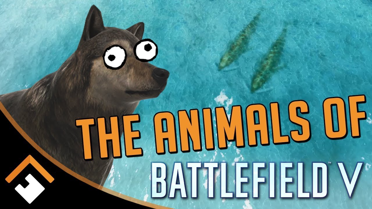 WWII ZOO: Every Animal in Battlefield V