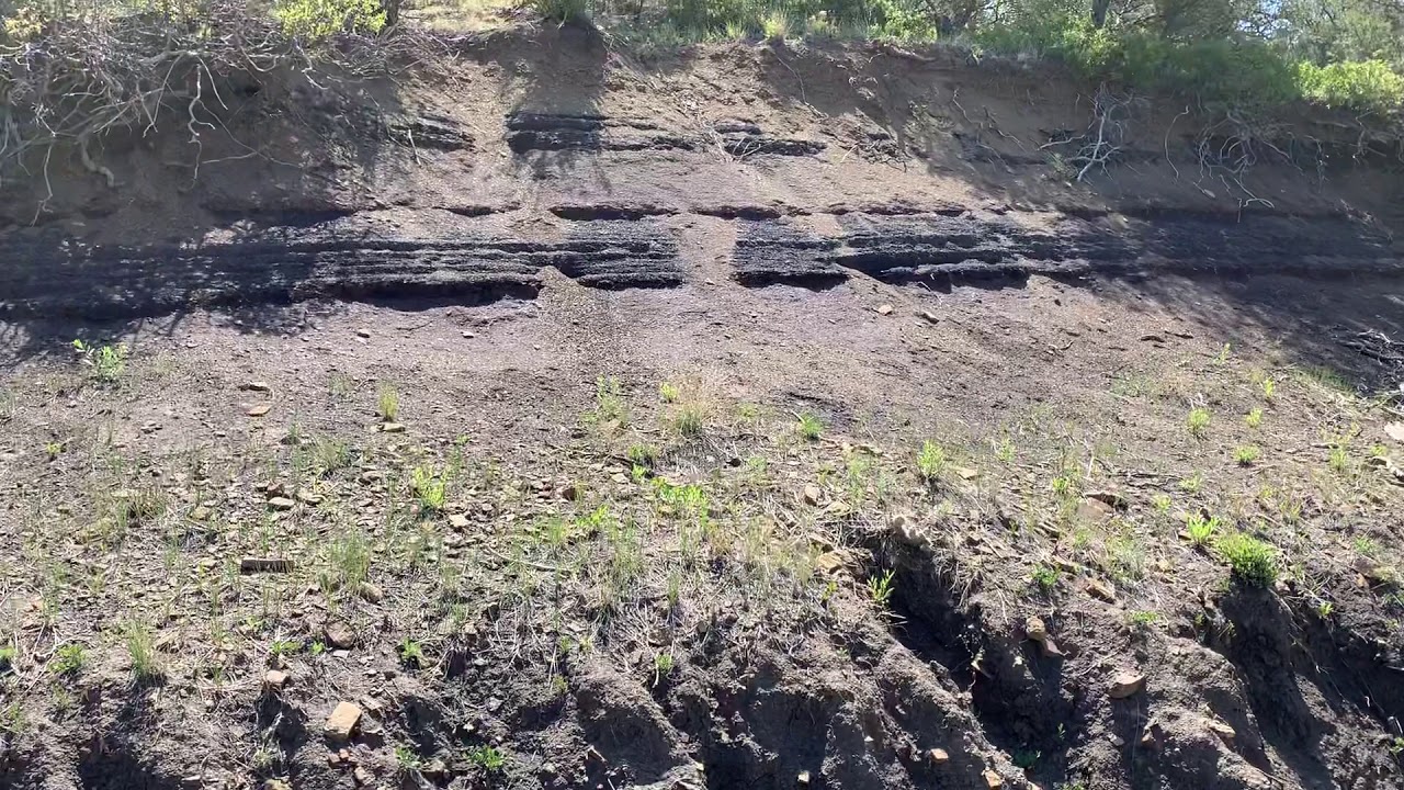 The Black Mat ( The Iridium layer)