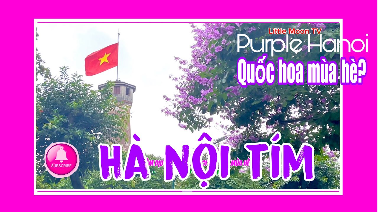 Hanoi walking tour 4K Purple streets discovery | khám phá bằng lăng tím Hà nội | Hanoi City Tour