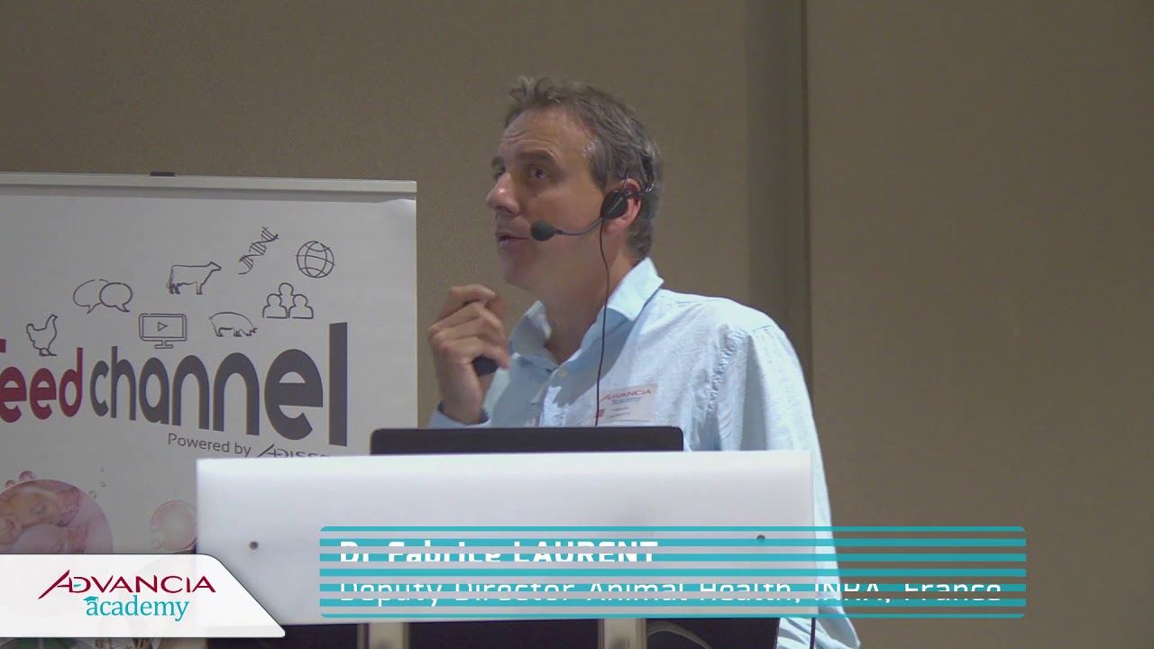 Fabrice LAURENT - Advancia Dubrovnik 2018