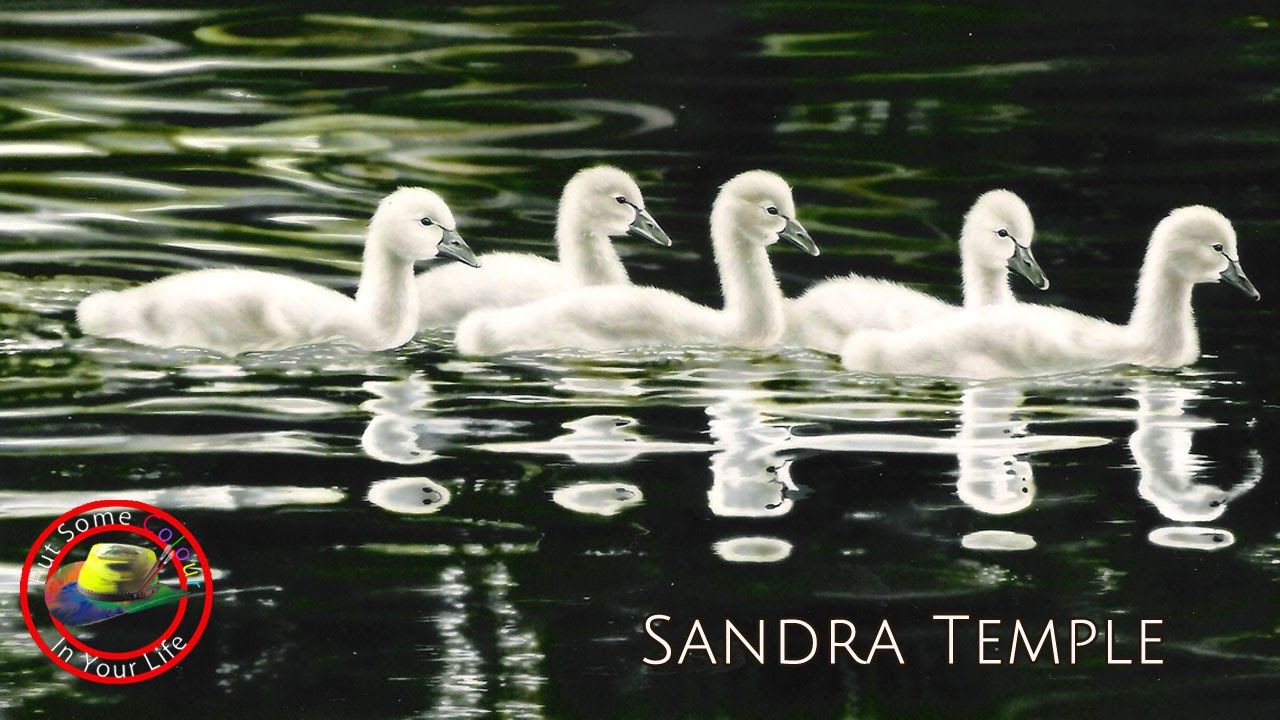 Mixed media drawing and painting techniques with Sandra Temple I Colour In Your Life