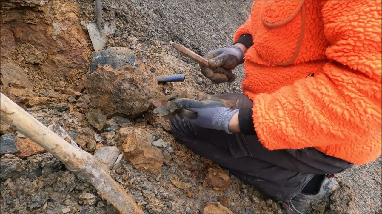 Fossil hunt in the Jurassic ammonites from the Bradfordensis/Concavum Zone
