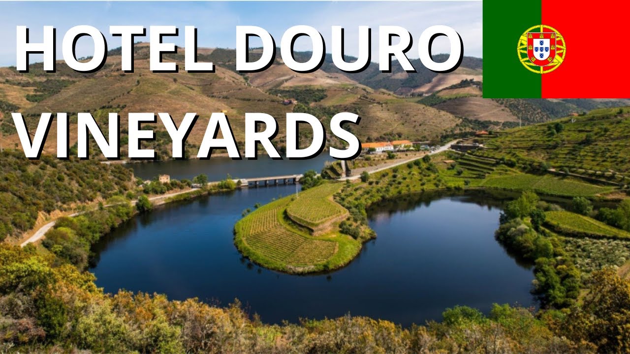 HOTEL VILA GALÉ DOURO VINEYARDS | REGUA