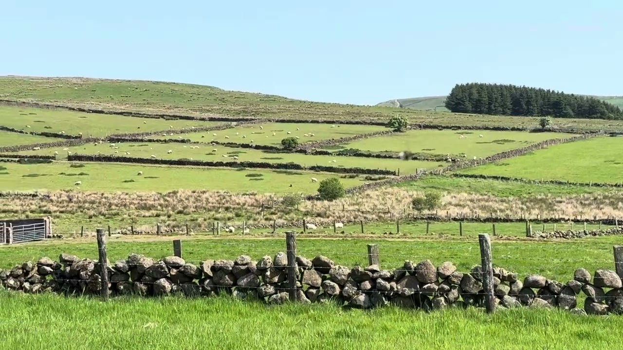 Northern Irish Landscape