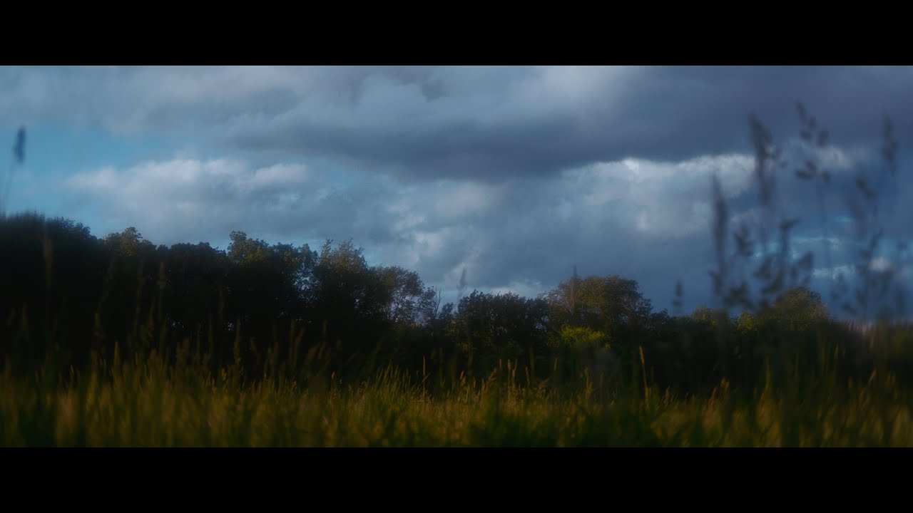 Winds of Spring | Red Raven, Helios, Tokina Cinema Vista Footage #Helios #Red #Footage #cinematic