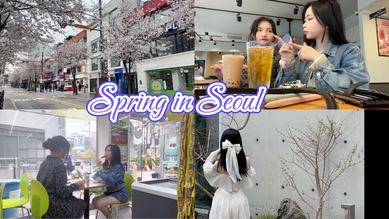 𝐍𝐡𝐚̣̂𝐭 𝐤𝐲́ 𝐝𝐮 𝐡𝐨̣𝐜 𝐇𝐚̀𝐧 𝐐𝐮𝐨̂́𝐜: ngày mùa Xuân cùng bạn thân