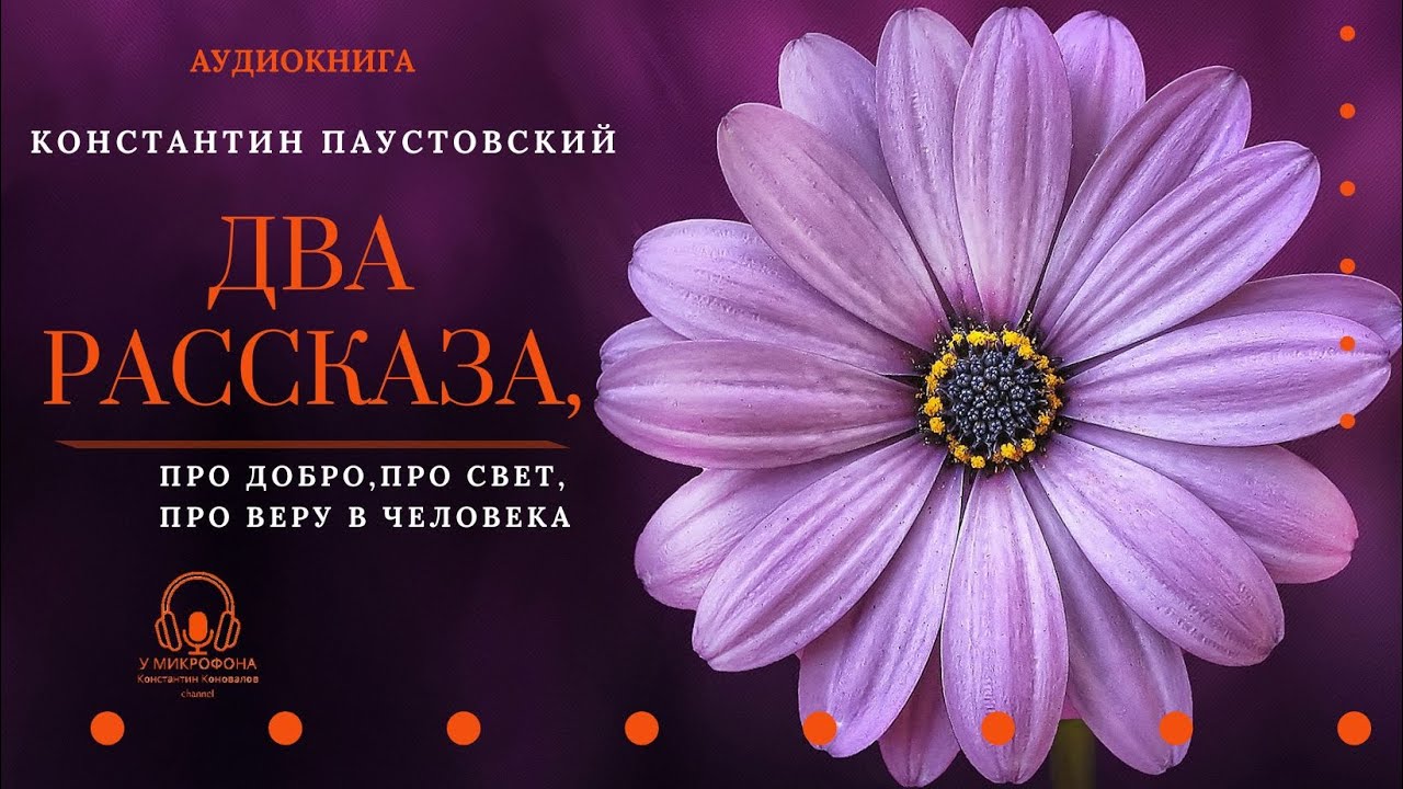 Аудиокнига. 