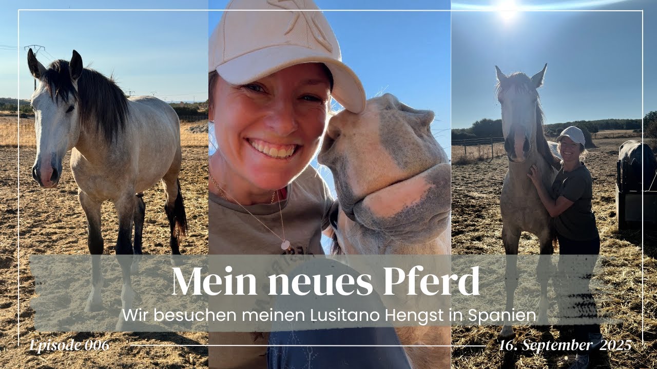 Mein neues Pferd VLOG I Wir besuchen meinen Lusitano Hengst in Spanien I Erkennt Tali mich wieder?