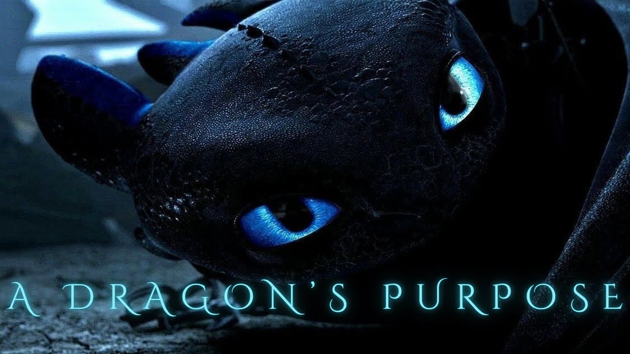 HTTYD | A Dragon’s Purpose
