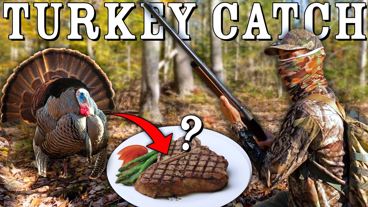 Catch and Cook Turkey? Deer? and Steak In Costal Maine