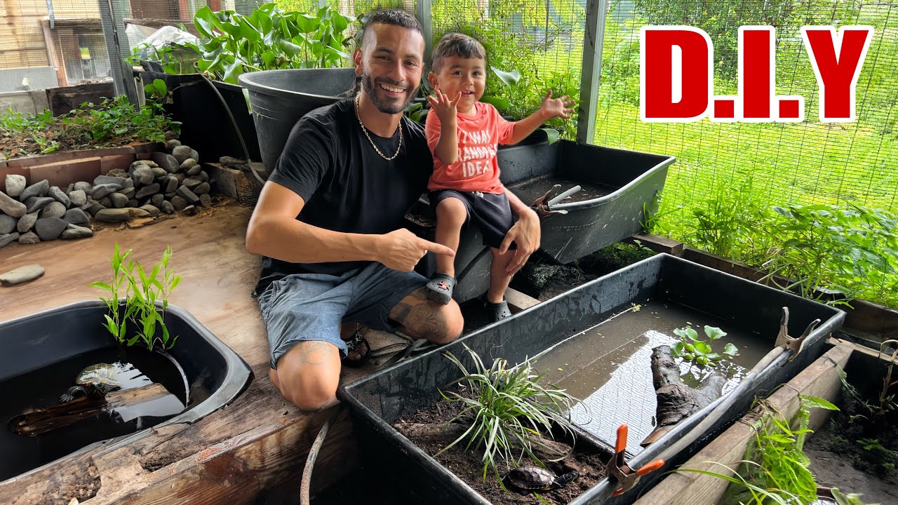 Easy DIY TURTLE Pond SETUP