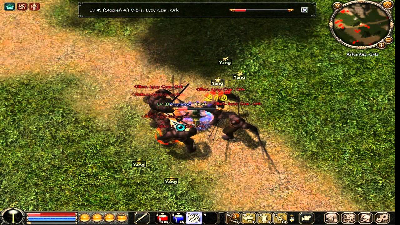 Shaman Smok 33 lvl exp BO (s11) Metin2.pl