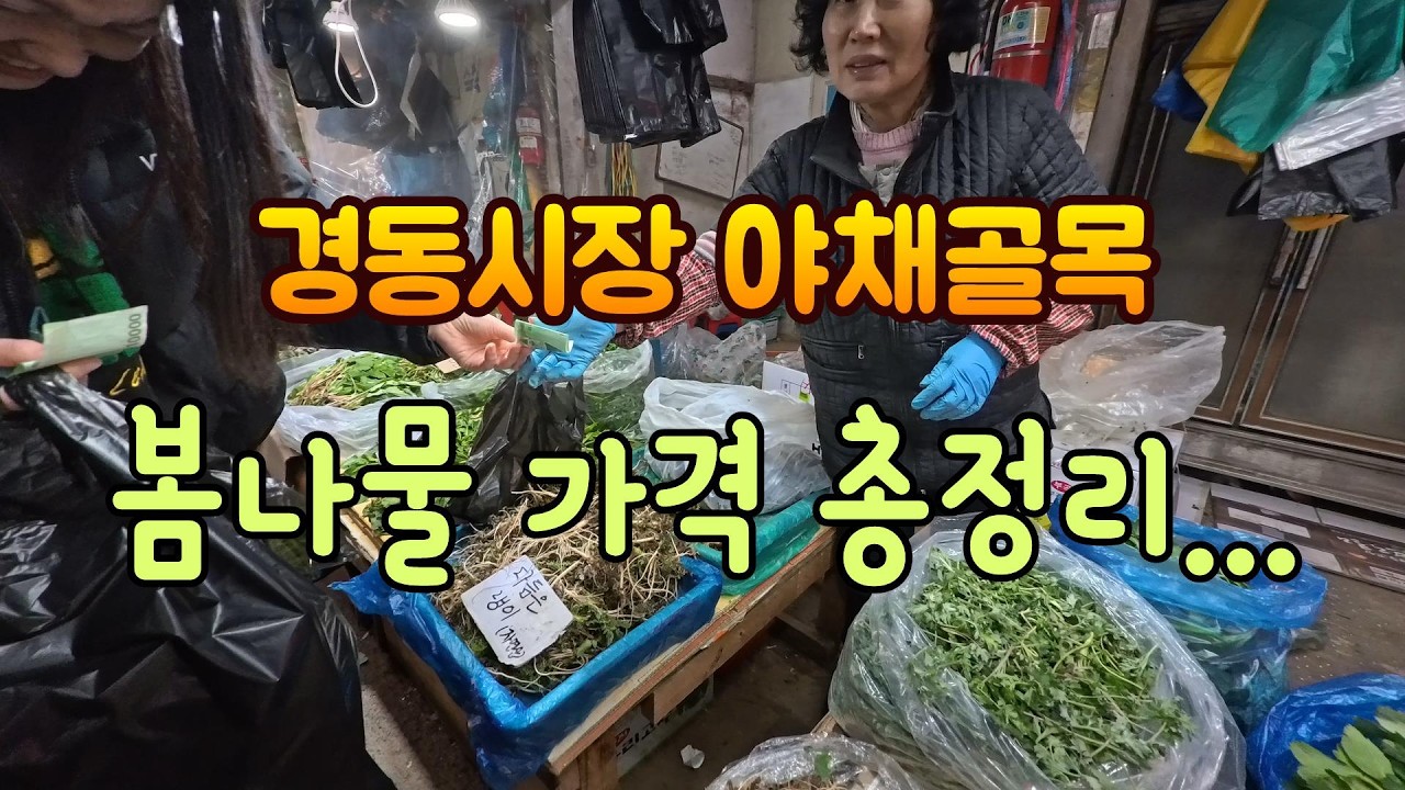 🌳  봄나물 가격에 헉 ? (한국남자 시세는 ?) 🌵 #시장 #봄나물 #채소시세 #경동시장 #시장구경 