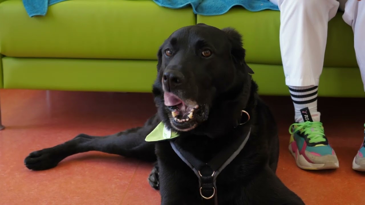 Tiergestützte Therapie in der Tropenklinik Paul-Lechler-Krankenhaus Tübingen