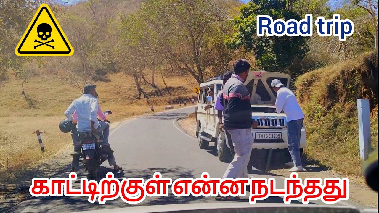 முதுமலை மசினகுடி சாலையின் தற்போதைய நிலை || முற்றிலும் மாறுபட்ட காலநிலை