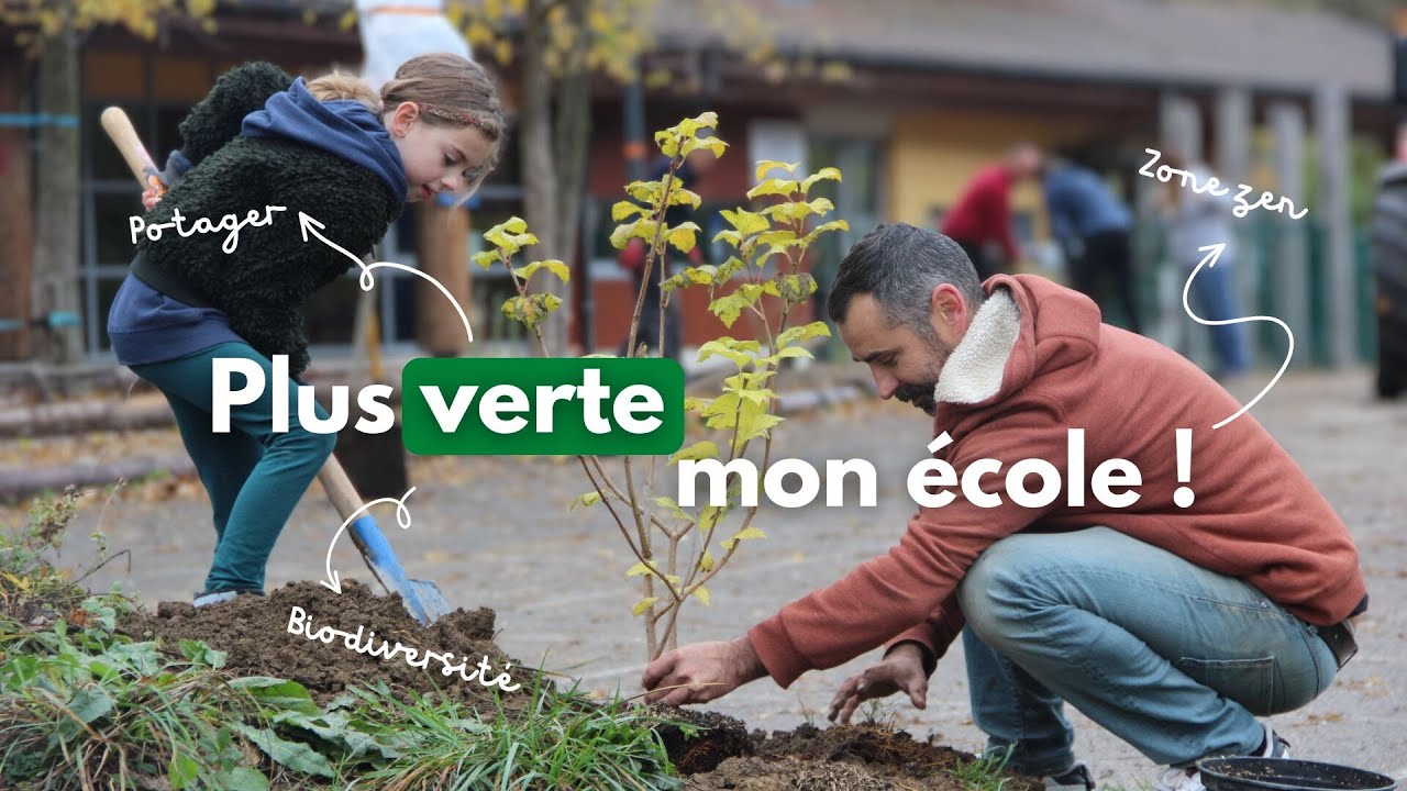 Revégétaliser une cour d’école : le projet qui change tout pour les enfants