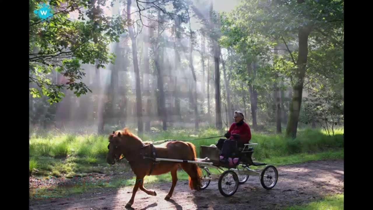 Kijk op de Wijk met Helmondfoto deel 2