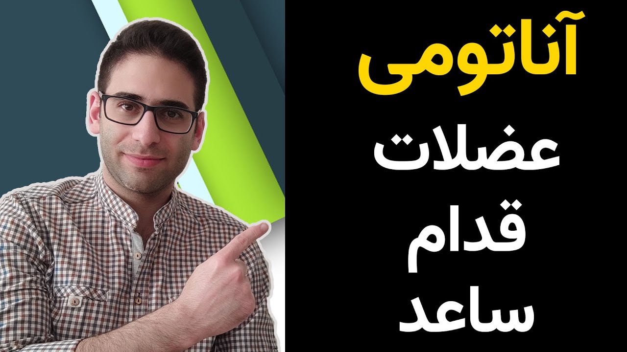 آناتومی عضلات قدام ساعد دست