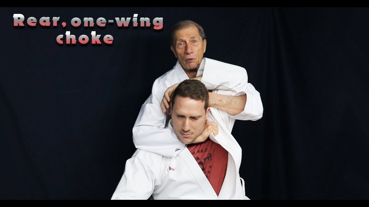 Martial Arts Lesson in One Minute: Rear One Wing Choke